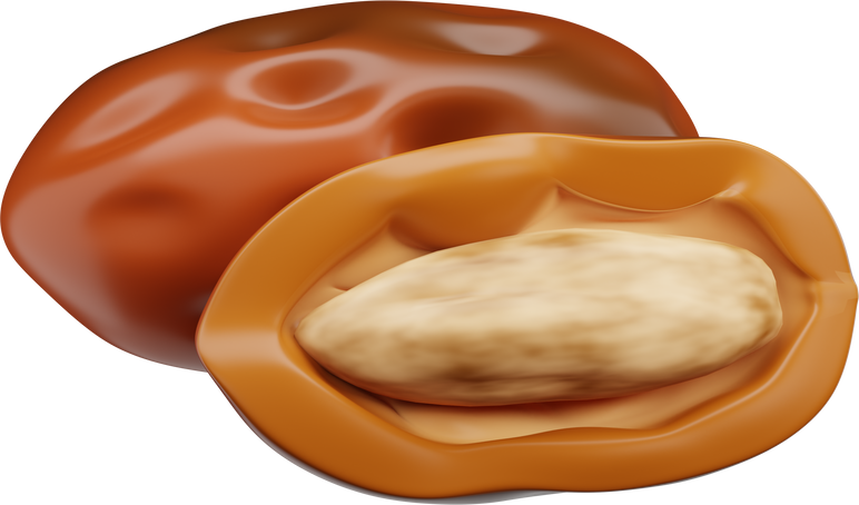 3D Dates Fruit Illustration